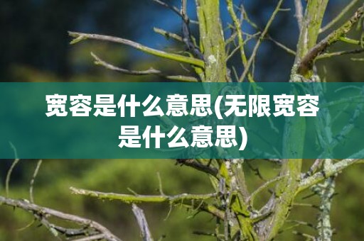 宽容是什么意思(无限宽容是什么意思)