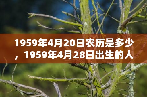 1959年4月20日农历是多少，1959年4月28日出生的人命好吗