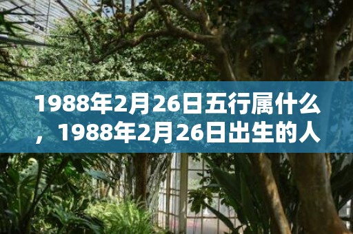 1988年2月26日五行属什么，1988年2月26日出生的人命好吗