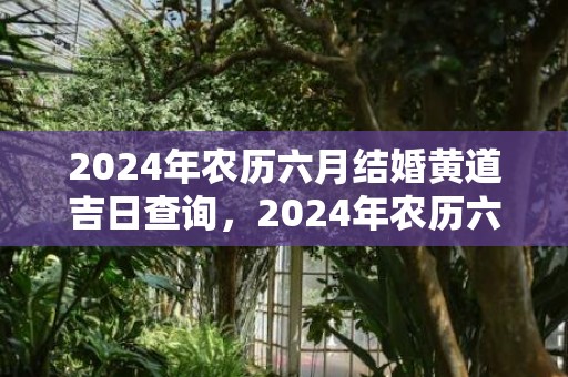 2024年农历六月结婚黄道吉日查询，2024年农历六月初四出生牛宝宝命运