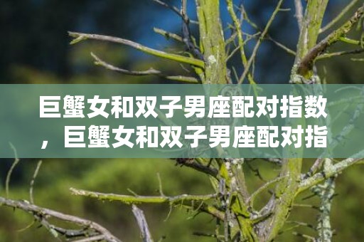 巨蟹女和双子男座配对指数，巨蟹女和双子男座配对指数大吗？