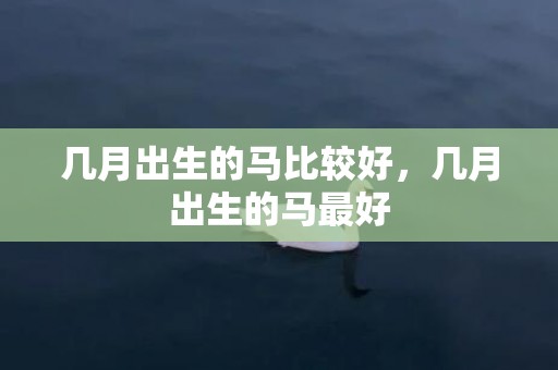 几月出生的马比较好，几月出生的马最好