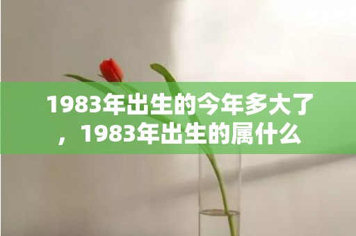 1983年出生的今年多大了，1983年出生的属什么