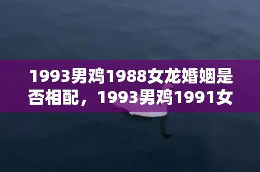 1993男鸡1988女龙婚姻是否相配，1993男鸡1991女羊五行合不合