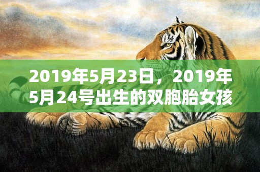 2019年5月23日，2019年5月24号出生的双胞胎女孩起什么名字好听，五行属什么？