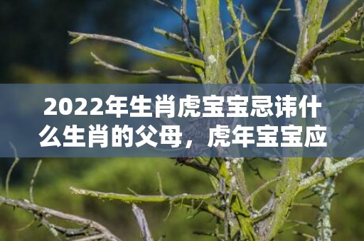 2022年生肖虎宝宝忌讳什么生肖的父母，虎年宝宝应避开几月出生最好