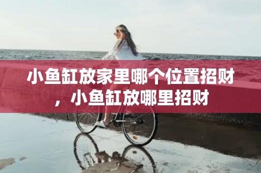 小鱼缸放家里哪个位置招财，小鱼缸放哪里招财