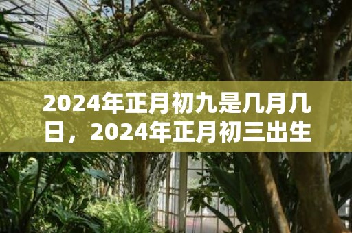 2024年正月初九是几月几日，2024年正月初三出生的虎宝宝命运好不好