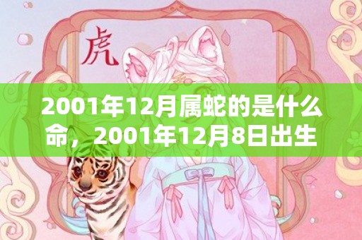 2001年12月属蛇的是什么命，2001年12月8日出生的人命好吗