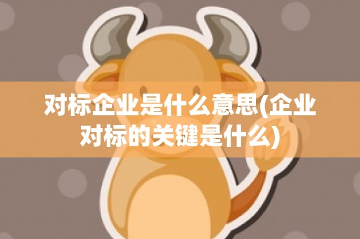 对标企业是什么意思(企业对标的关键是什么)