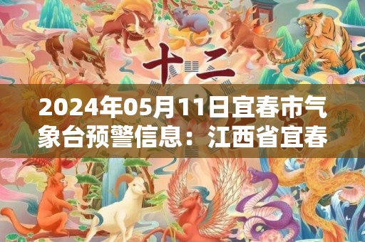 2024年05月11日宜春市气象台预警信息：江西省宜春市发布暴雨黄色预警