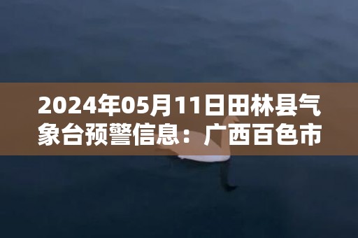 2024年05月11日田林县气象台预警信息：广西百色市田林县发布冰雹橙色预警