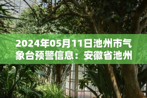 2024年05月11日池州市气象台预警信息：安徽省池州市更新强对流黄色预警