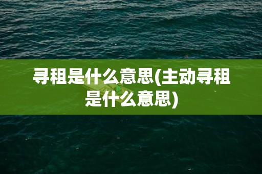 寻租是什么意思(主动寻租是什么意思)