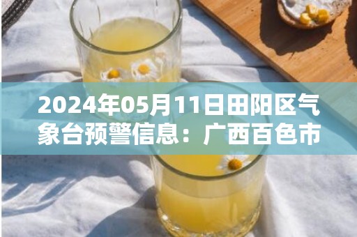 2024年05月11日田阳区气象台预警信息：广西百色市田阳区发布冰雹橙色预警