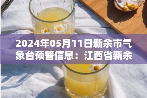 2024年05月11日新余市气象台预警信息：江西省新余市更新雷电黄色预警