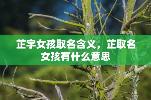 芷字女孩取名含义，芷取名女孩有什么意思