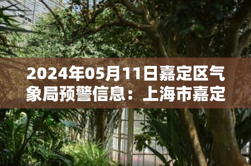 2024年05月11日嘉定区气象局预警信息：上海市嘉定区发布雷电黄色预警