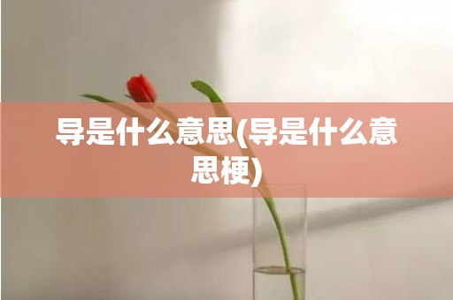 导是什么意思(导是什么意思梗)