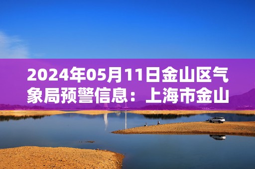 2024年05月11日金山区气象局预警信息：上海市金山区发布雷电黄色预警