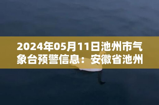 2024年05月11日池州市气象台预警信息：安徽省池州市发布暴雨蓝色预警