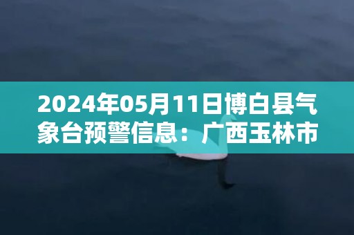 2024年05月11日博白县气象台预警信息：广西玉林市博白县发布雷电橙色预警