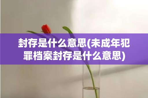 封存是什么意思(未成年犯罪档案封存是什么意思)