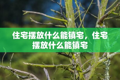 住宅摆放什么能镇宅，住宅摆放什么能镇宅