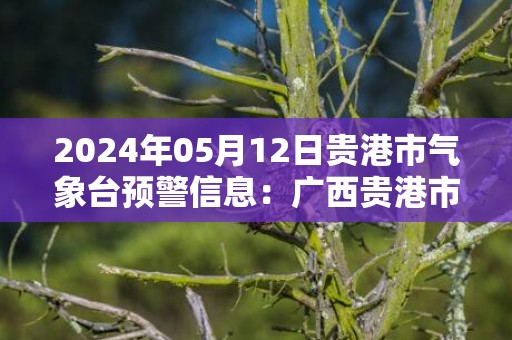 2024年05月12日贵港市气象台预警信息：广西贵港市发布暴雨黄色预警