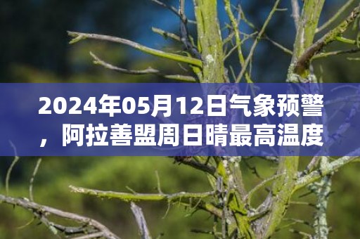 2024年05月12日气象预警，阿拉善盟周日晴最高温度32℃