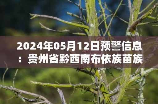 2024年05月12日预警信息：贵州省黔西南布依族苗族自治州普安县发布大雾橙色预警