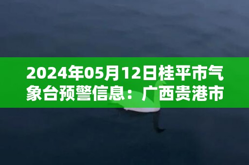 2024年05月12日桂平市气象台预警信息：广西贵港市桂平市发布暴雨橙色预警