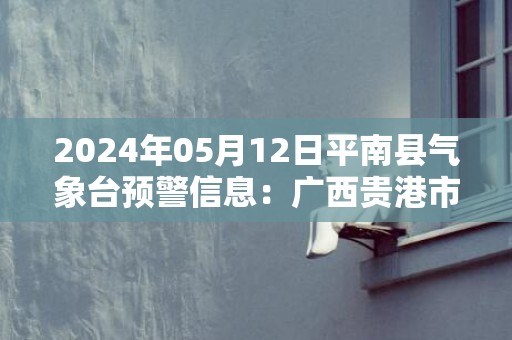 2024年05月12日平南县气象台预警信息：广西贵港市平南县发布暴雨橙色预警