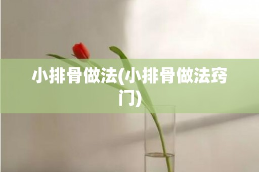 小排骨做法(小排骨做法窍门)