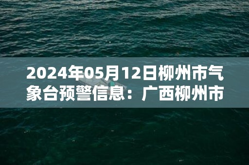 2024年05月12日柳州市气象台预警信息：广西柳州市更新雷雨大风黄色预警