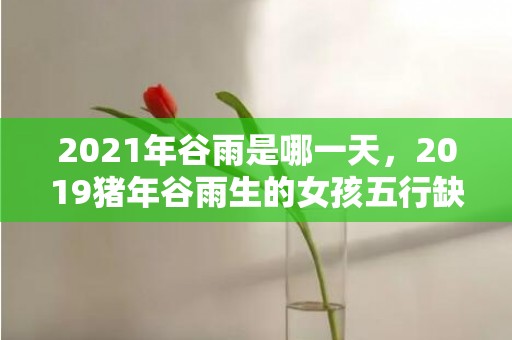 2021年谷雨是哪一天，2019猪年谷雨生的女孩五行缺土要怎么起名字