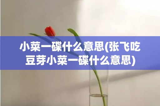 小菜一碟什么意思(张飞吃豆芽小菜一碟什么意思)