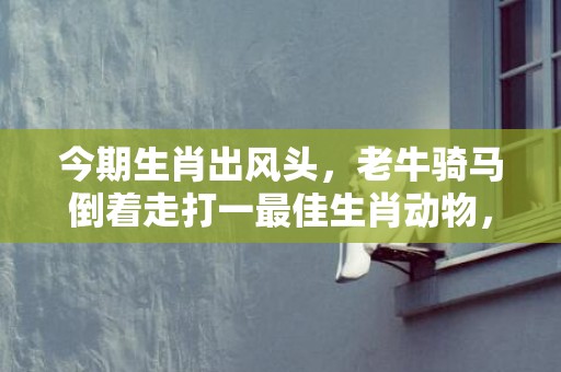 今期生肖出风头，老牛骑马倒着走打一最佳生肖动物，成语落实解释