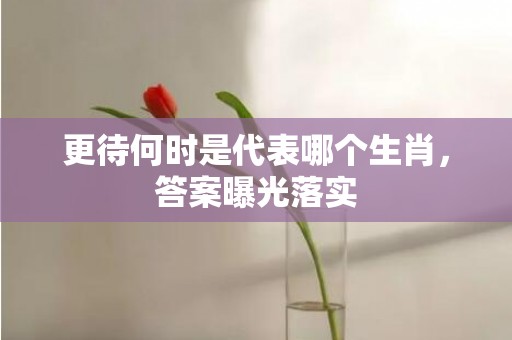 更待何时是代表哪个生肖，答案曝光落实