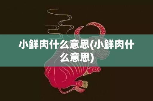 小鲜肉什么意思(小鲜肉什么意思)