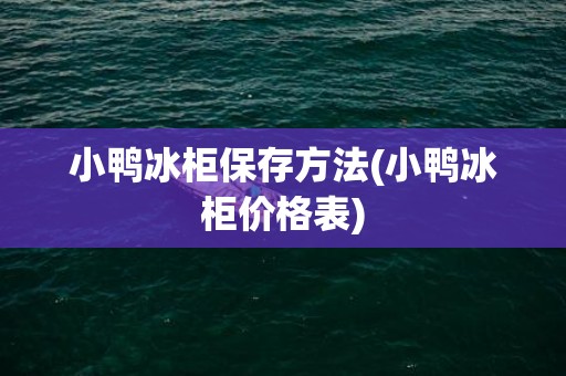 小鸭冰柜保存方法(小鸭冰柜价格表)