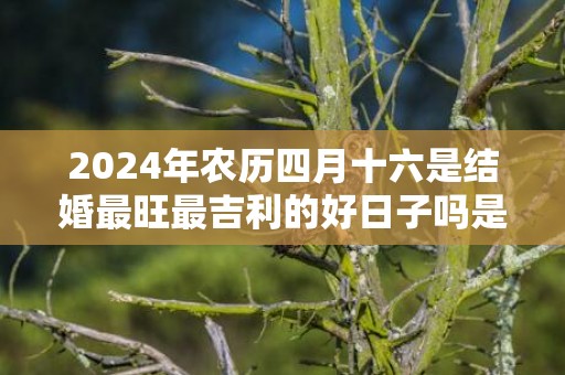 2024年农历四月十六是结婚最旺最吉利的好日子吗是不是嫁娶的好日子