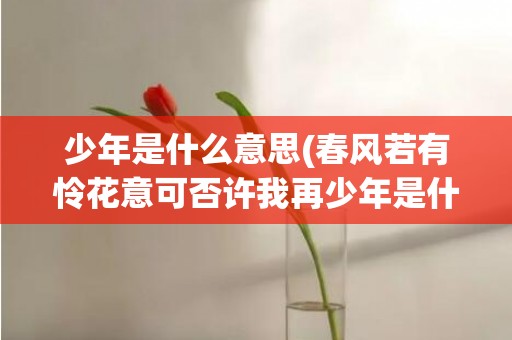 少年是什么意思(春风若有怜花意可否许我再少年是什么意思)