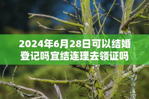 2024年6月28日可以结婚登记吗宜结连理去领证吗