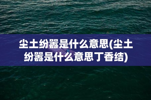 尘土纷嚣是什么意思(尘土纷嚣是什么意思丁香结)