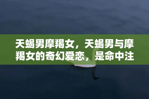 天蝎男摩羯女，天蝎男与摩羯女的奇幻爱恋，是命中注定还是挑战命运？