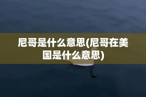 尼哥是什么意思(尼哥在美国是什么意思)