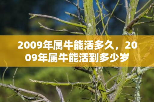 2009年属牛能活多久，2009年属牛能活到多少岁