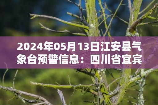 2024年05月13日江安县气象台预警信息：四川省宜宾市江安县发布大雾橙色预警