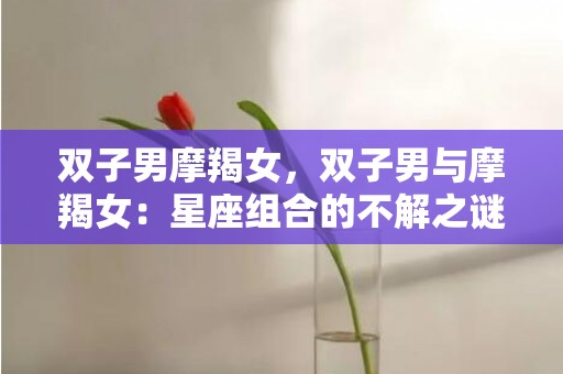 双子男摩羯女，双子男与摩羯女：星座组合的不解之谜？